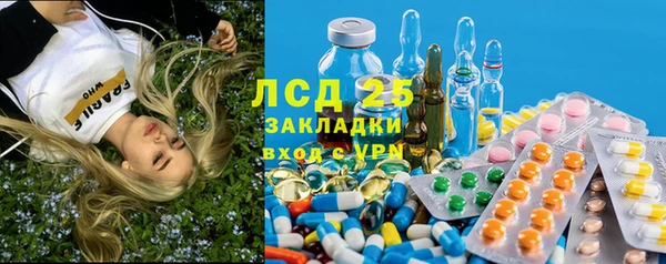 PSILOCYBIN Бородино